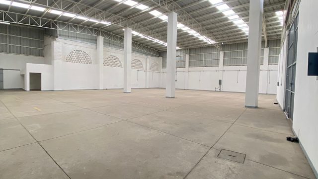 BODEGA1
