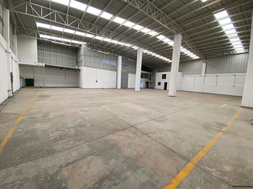 BODEGA2