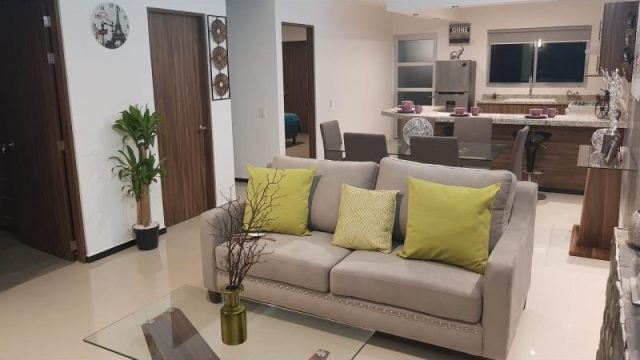 220216113015-e87f762415a640e99e2a2d8662e7453el