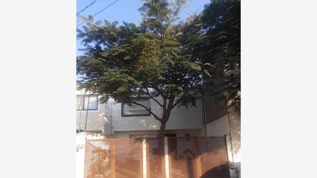 230210215147-34c21799b4d14c00a0a1a293723d663bl