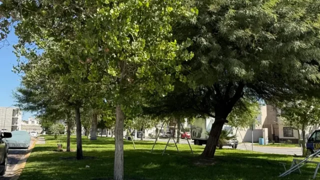 pp-251002171949-cd0cbd6876a540d4b6f441891dc16cd6l