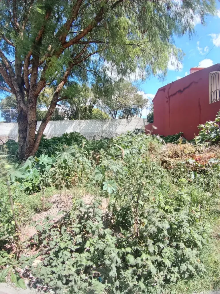 pp-251008010126-ab4a9a71fa7a40caae52f34daa1ef77al