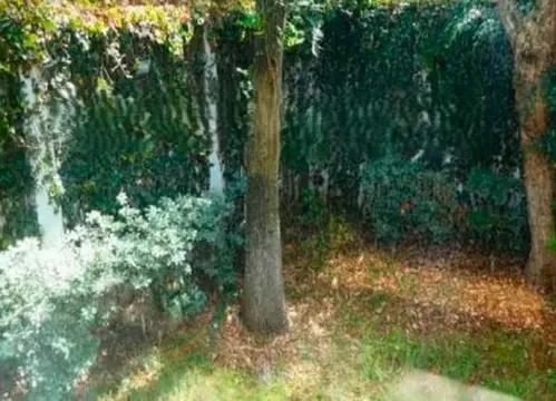 Casa-en-Venta-en-Florida-Alvaro-Obregon-Ciudad-de-Mexico-13