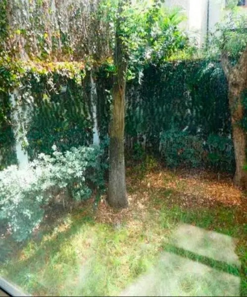 Casa-en-Venta-en-Florida-Alvaro-Obregon-Ciudad-de-Mexico-13