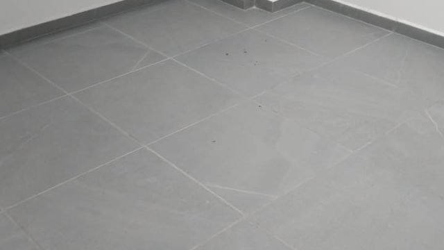 a756fd90-d7a7-4fef-841f-b7d4fd166b99