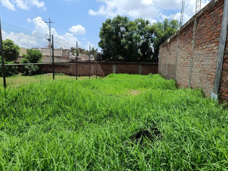 TERRENO COL DOCTORES TESISTAN