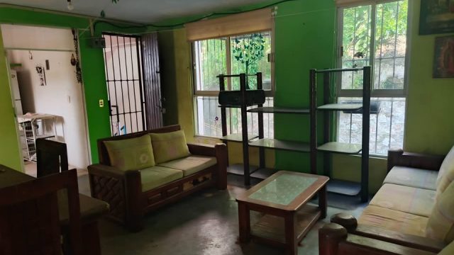 523635614_1254490589211866_1839966862016037313_n