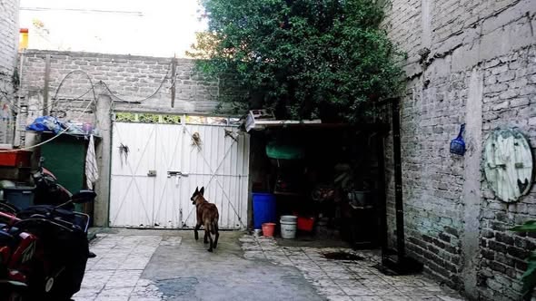 595262699_3815576078750920_7224857434395801734_n