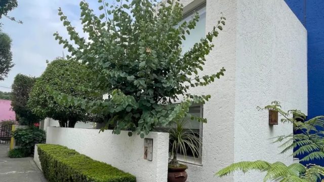 Casa-en-Condominio-EN-RENTA-Desierto-de-los-Leones.-Alvaro-Obregon-CDMX-2