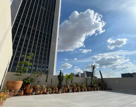 Departamento-en-Renta-en-Providencia-Guadalajara-2-Recamaras-y-Amenidades-Modernas-3