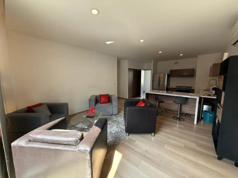 DEPARTAMENTO EN RENTA NUEVO SUR