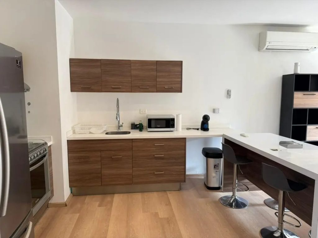 Renta-de-Departamento-de-Lujo-en-Nuevo-Sur-Monterrey-5