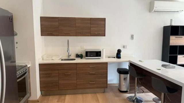 Renta-de-Departamento-de-Lujo-en-Nuevo-Sur-Monterrey-5