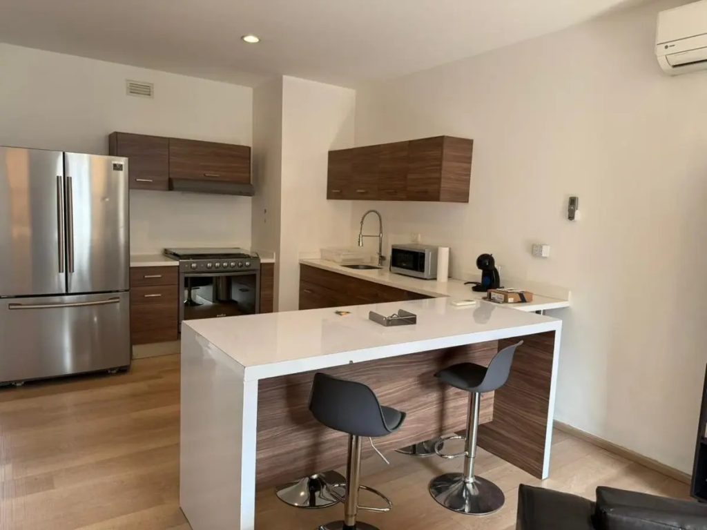 Renta-de-Departamento-de-Lujo-en-Nuevo-Sur-Monterrey-7