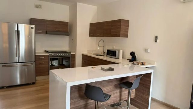 Renta-de-Departamento-de-Lujo-en-Nuevo-Sur-Monterrey-7