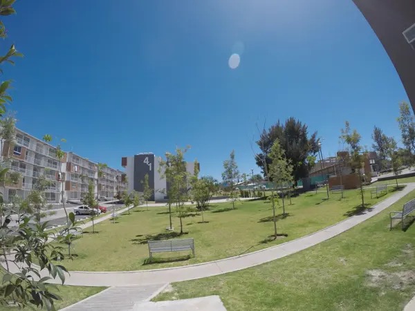 depa-en-renta-planta-baja-frente-a-zoo-Gdl-2-habitaciones-1-wc-1-cajon-est-1