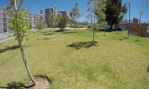 depa-en-renta-planta-baja-frente-a-zoo-Gdl-2-habitaciones-1-wc-1-cajon-est-12