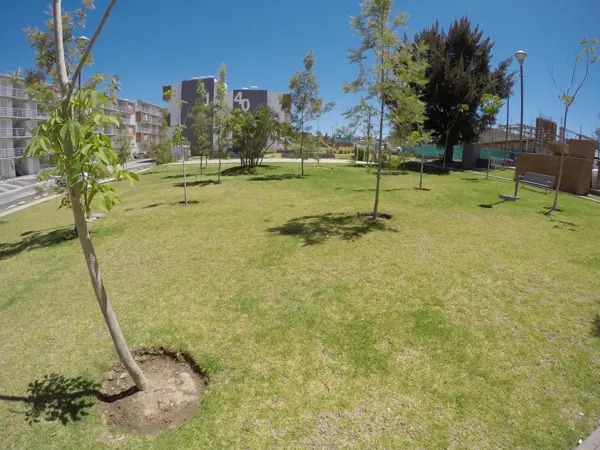 depa-en-renta-planta-baja-frente-a-zoo-Gdl-2-habitaciones-1-wc-1-cajon-est-12