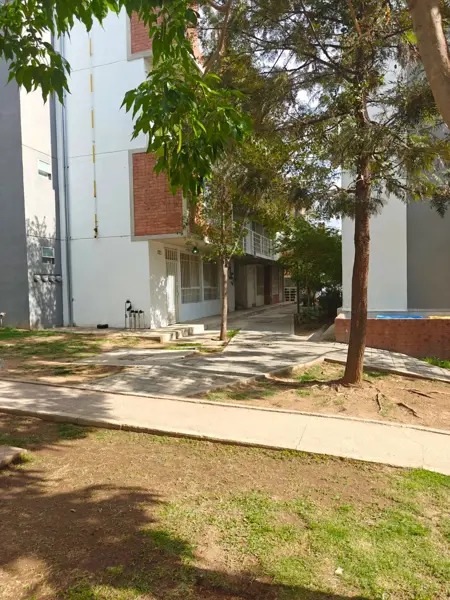 depa-en-renta-planta-baja-frente-a-zoo-Gdl-2-habitaciones-1-wc-1-cajon-est-3