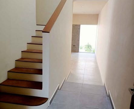 598971979_4147314552202476_7744876915307952853_n