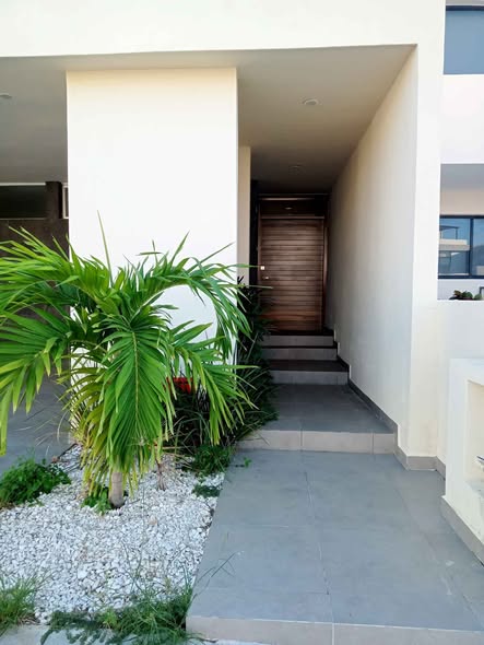 600295569_4147314478869150_1972931136650249233_n