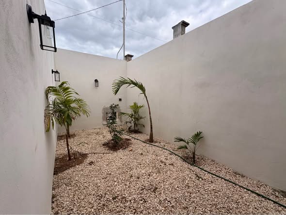 619602981_2024430238481148_8969160032642953227_n