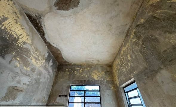 620050197_25530994563249543_592403169557312545_n