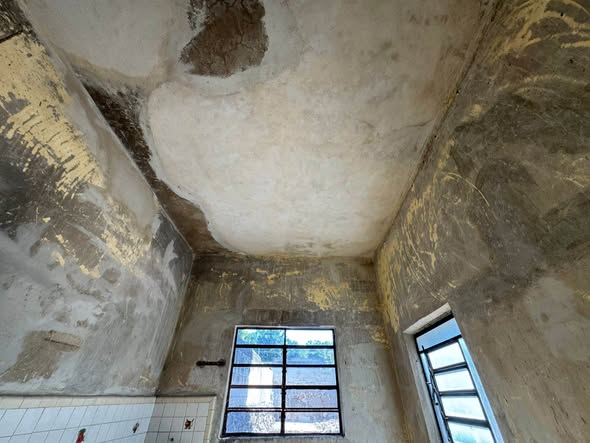 620050197_25530994563249543_592403169557312545_n