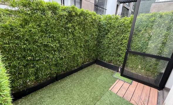 622014699_10173663942090637_5477468807375570563_n