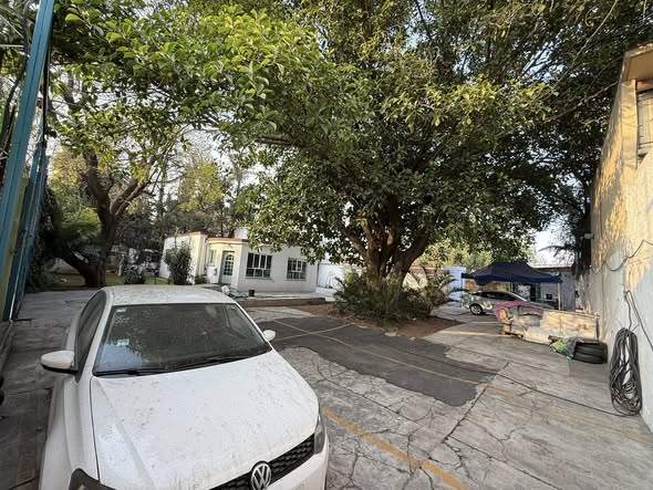 622213551_1209649184575574_6352087472907990714_n