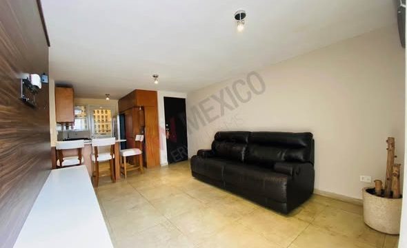 623522244_2339637213176120_7657060340395193922_n