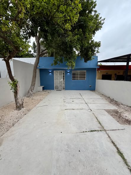 623954316_2925085201158360_1587852369609882708_n