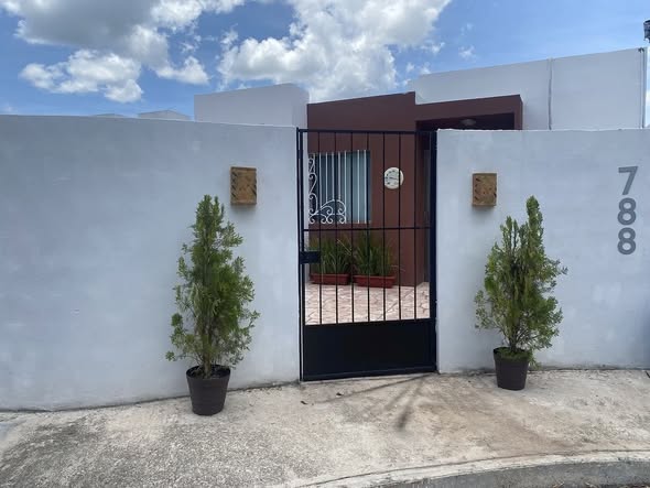 624209175_122186160146790098_5818067889327905691_n