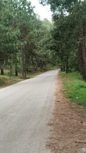 VENTA DE TERRENOS EN TAPALPA JALISCO