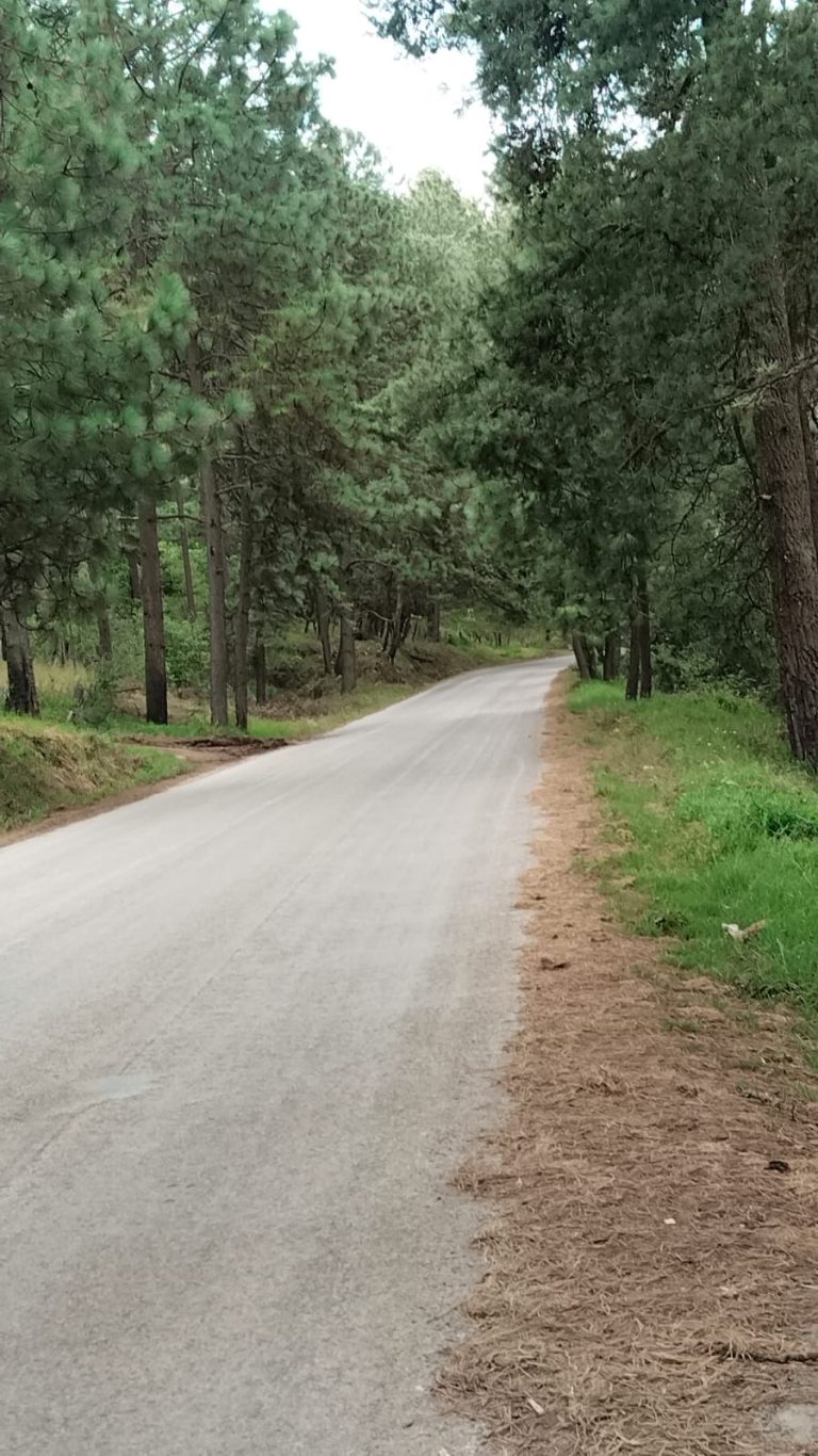 VENTA DE TERRENOS EN TAPALPA JALISCO