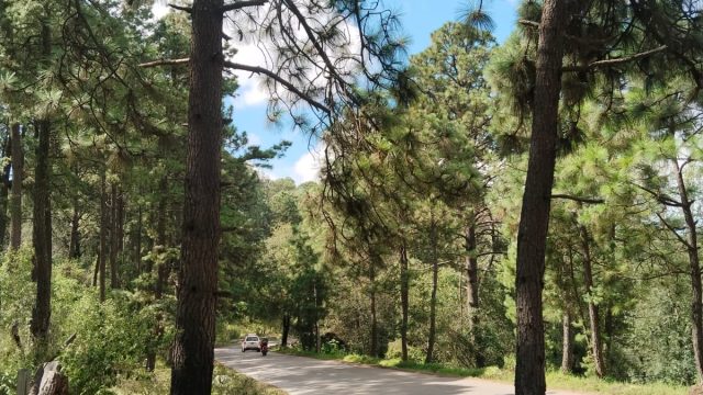 WhatsApp-Image-2025-12-30-at-6.44.31-PM-1