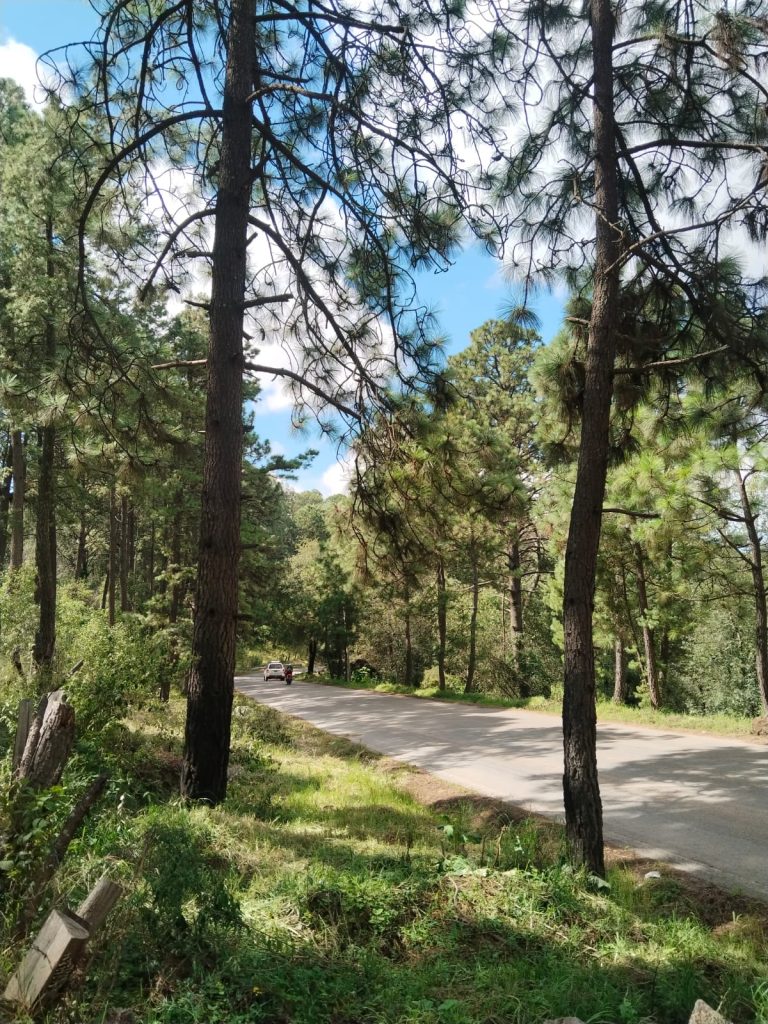 WhatsApp-Image-2025-12-30-at-6.44.31-PM-1