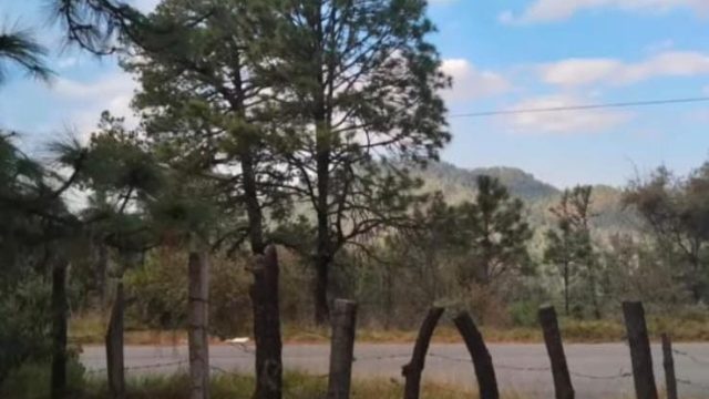 WhatsApp-Image-2026-01-02-at-7.09.34-PM-2