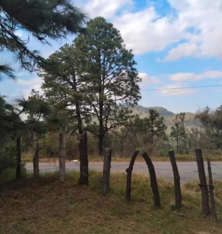 WhatsApp-Image-2026-01-02-at-7.09.34-PM-2