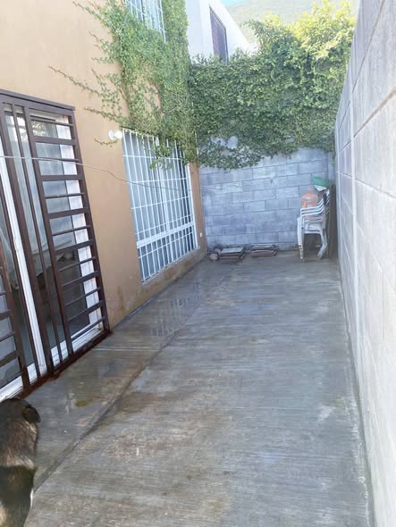 630222036_122266902374191504_1833547704599842200_n