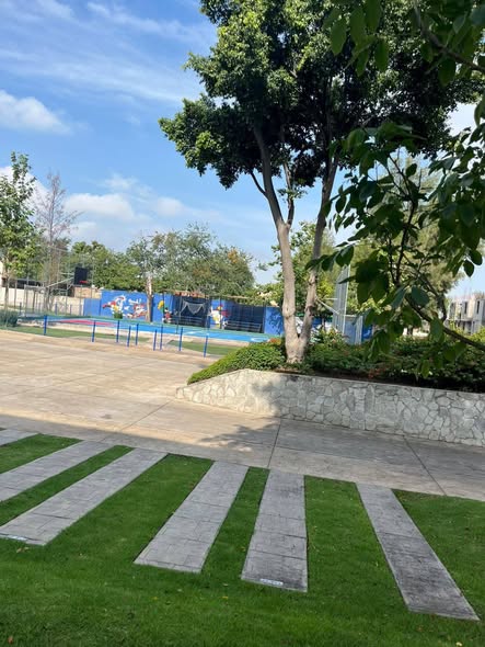 626156814_937271678654243_4769918042556721668_n