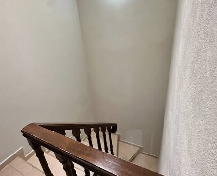 646375523_10233232595823607_1217390706848254357_n