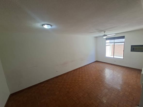 651810697_1216968040424625_5866051025159235095_n