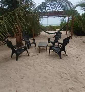 652336711_1457537689438747_4820634946419952996_n