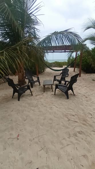 652336711_1457537689438747_4820634946419952996_n