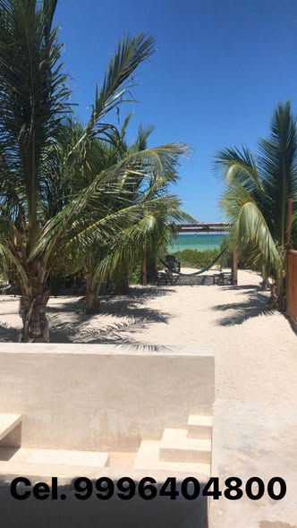 653709353_1457537706105412_4044532848222143279_n