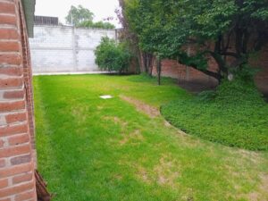 • Espacio corporativo con bodega y oficinas en Texcoco