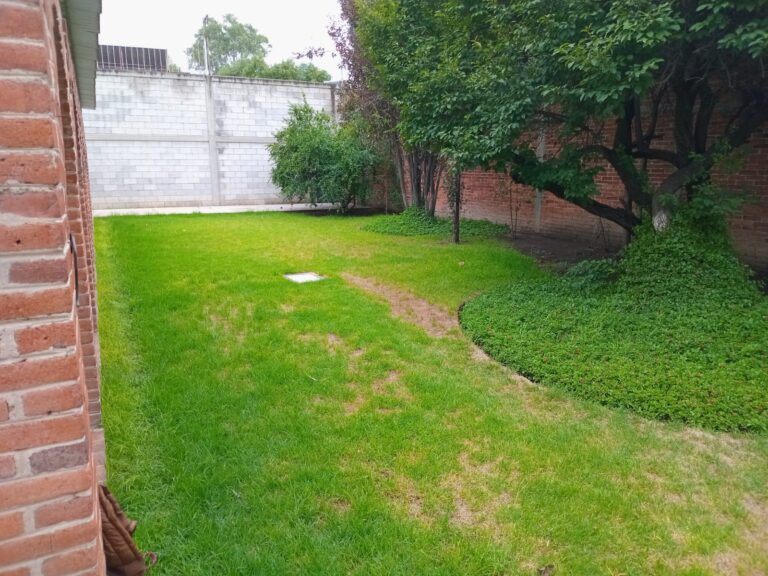 Espacio corporativo con bodega y oficinas en Texcoco