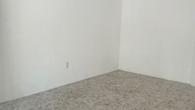 WhatsApp-Image-2026-03-20-at-4.58.00-PM-2