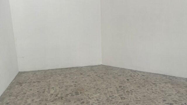 WhatsApp-Image-2026-03-20-at-4.58.00-PM-4